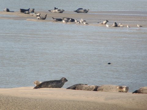 Passion Baie de Somme-Le Crotoy必去景点