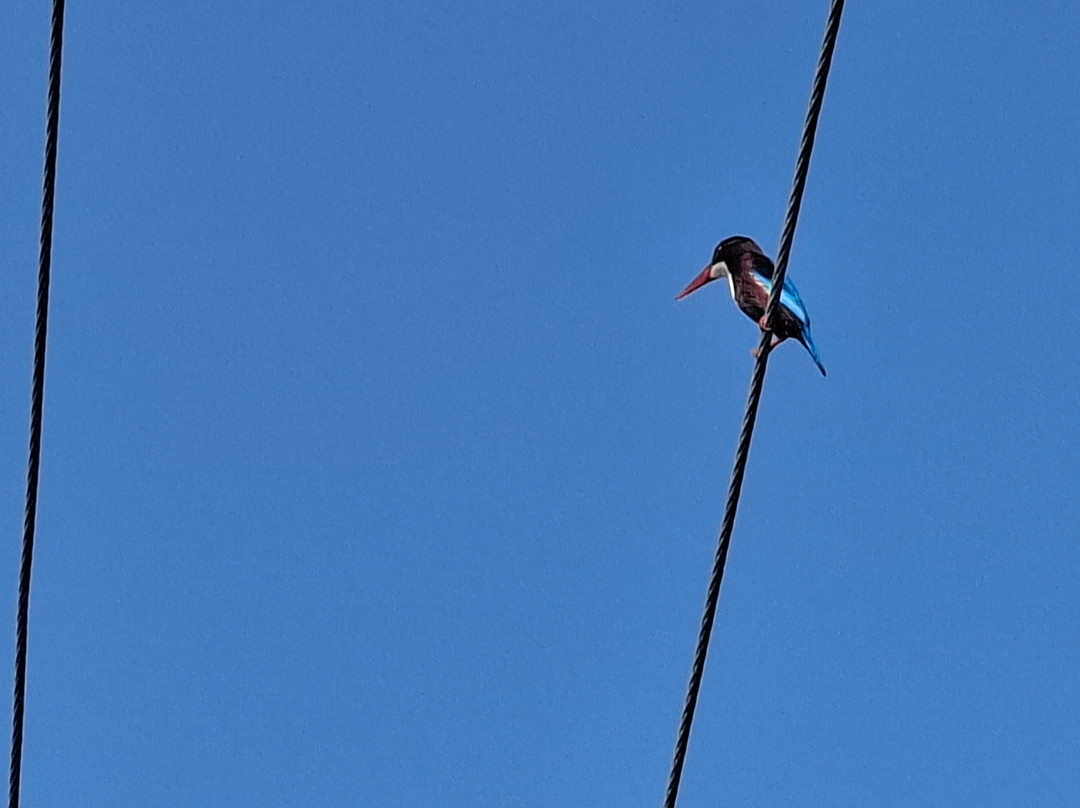 Wildlife Wonders Sri Lanka-唐卡拉必去景点
