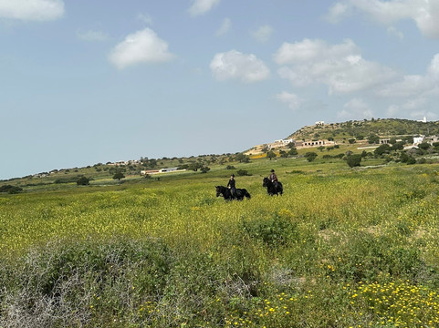 Ocean Ranch Essaouira-索维拉必去景点