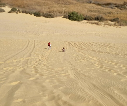 Mena Tour Guide Aswan Luxor-亚斯文必去景点