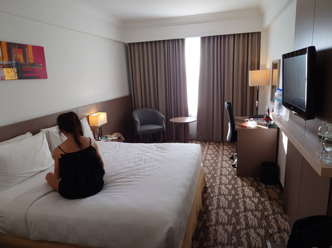 巴谈岛瑞士旅店主图