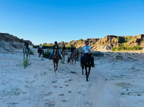 Eco Equus Cabalgatas-La Pedrera必去景点