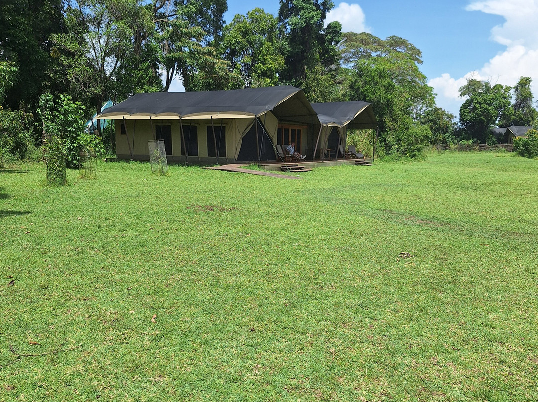 Face 2 Face Safaris-查佛必去景点