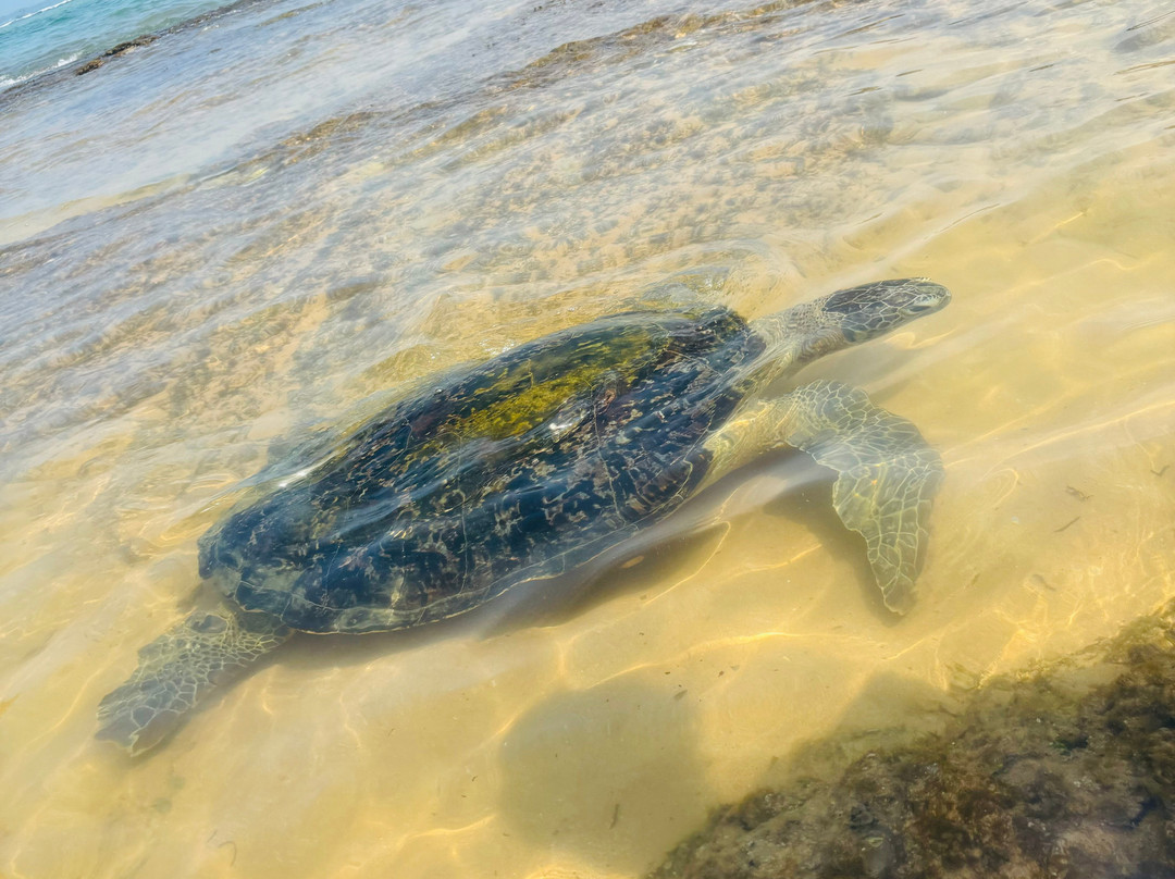Manu Tours & Travels-亚洪加拉必去景点