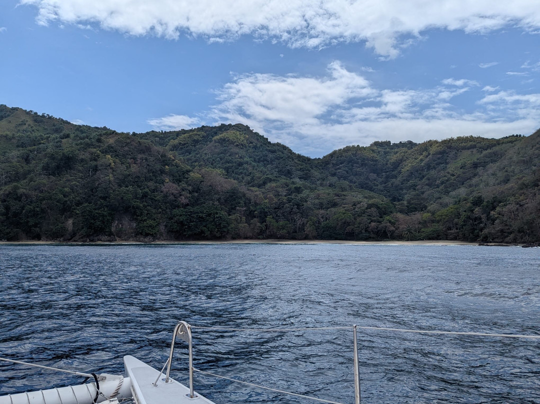 Sailing Catamaran Picante Private Day Tours-克朗波因特必去景点