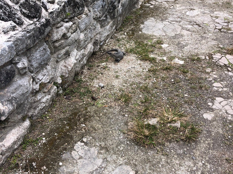 圣赫瓦西奥遗迹-考祖梅必去景点