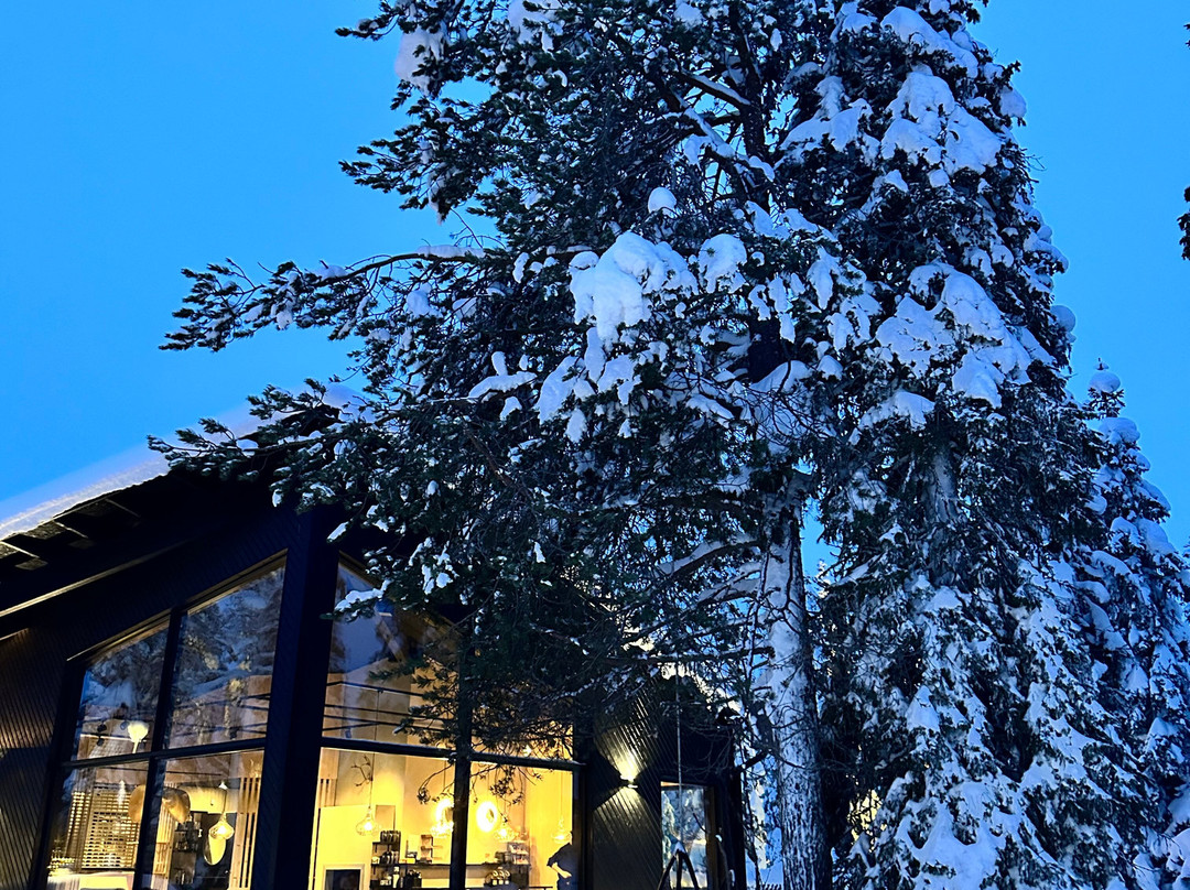 魔幻池塘自然冰屋酒店主图