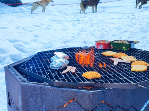 Cold Fire Creek Dogsledding-维尔蒙特必去景点
