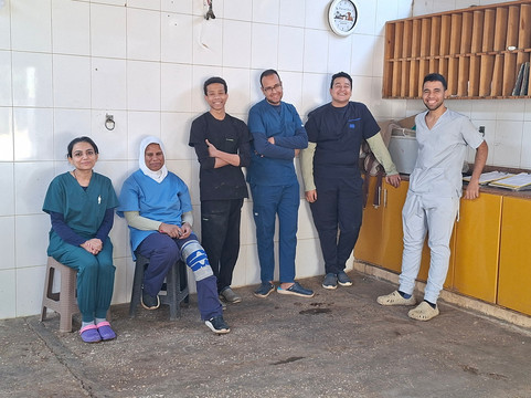 ACE - Animal Care in Egypt-卢克索必去景点