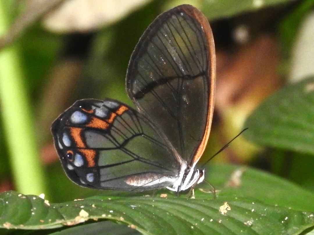 Ruta Natural-麦德林必去景点