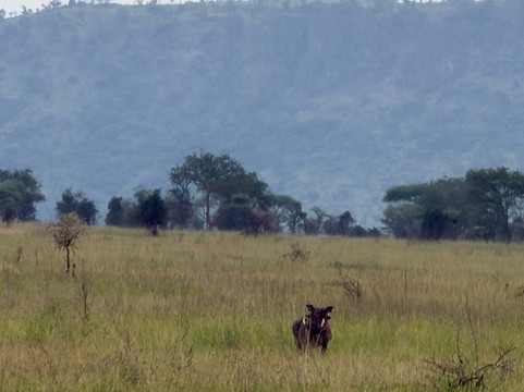 Passionate Safaris-Dar es Salaam必去景点