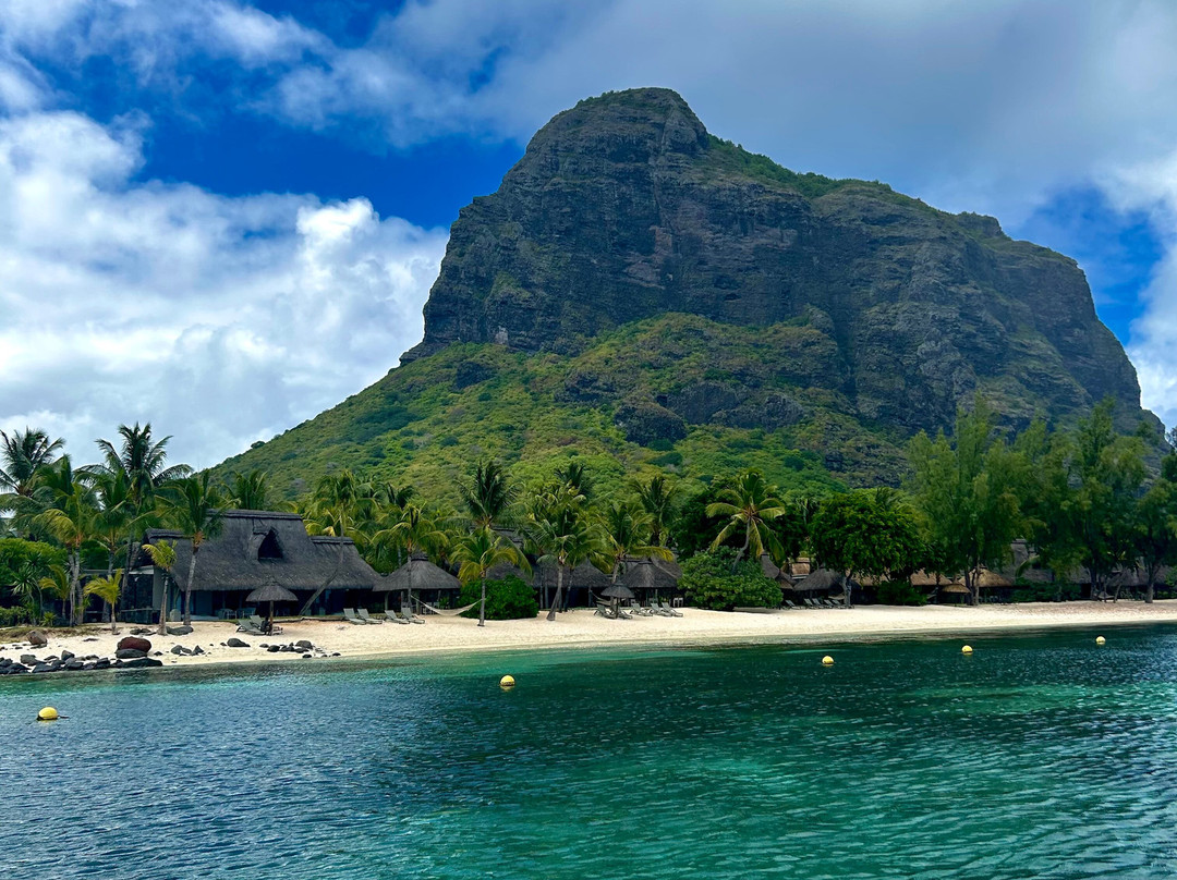 Dream Dolphin-黑河必去景点