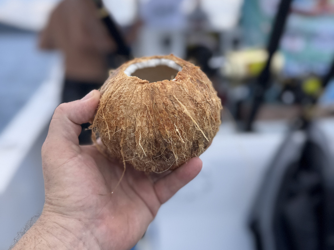 Sea Life Costa Rica-Cabuya必去景点