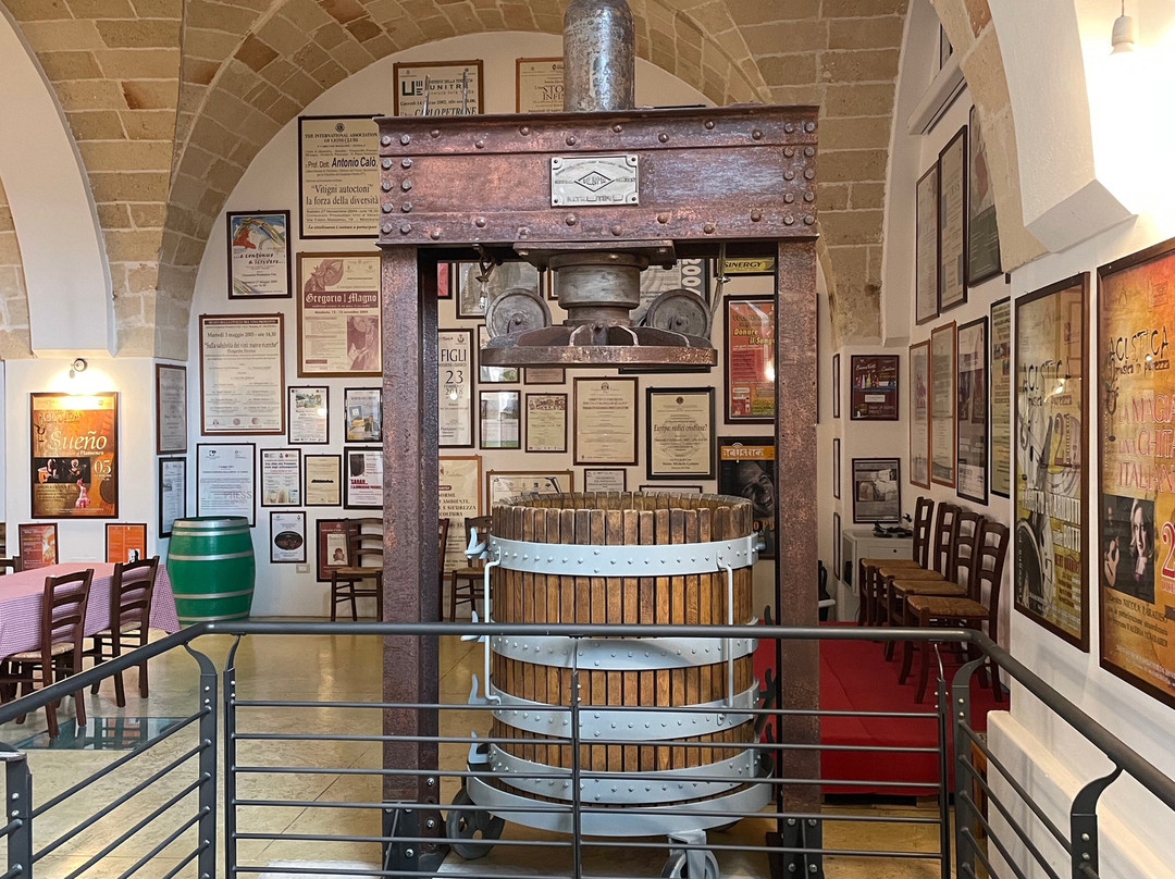Museo della Civilta del Vino Primitivo-Manduria必去景点