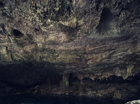 Dressel Divers Playa Del Carmen-普拉亚德尔卡曼必去景点