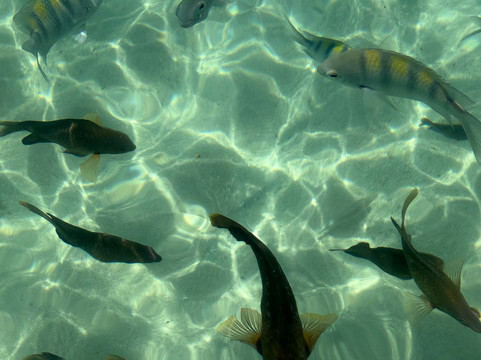 JS RECEPTIVOAL - CARRO: VIAGEM E TURISMO-Maceio必去景点