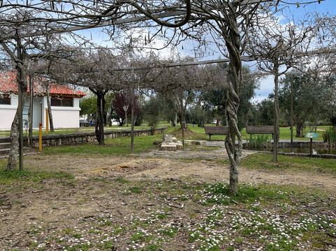 Parque Da Cidade-梅阿利亚达必去景点