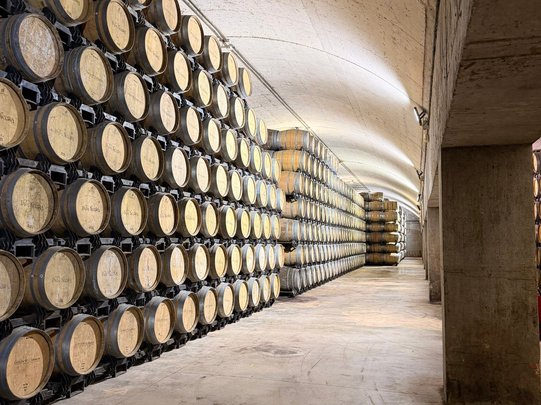 Bodega Señorio De Los Llanos-Valdepenas必去景点