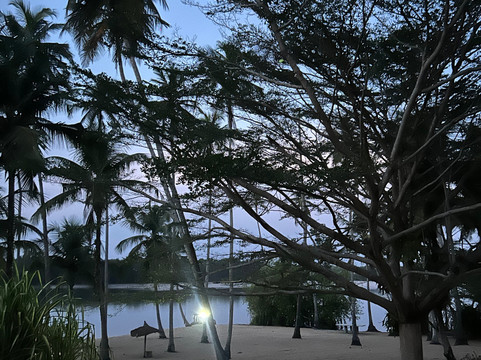 La Maison de la Lagune主图