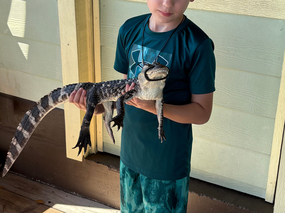 Wild Thang Airboat Tours-巴拿马城海滩必去景点