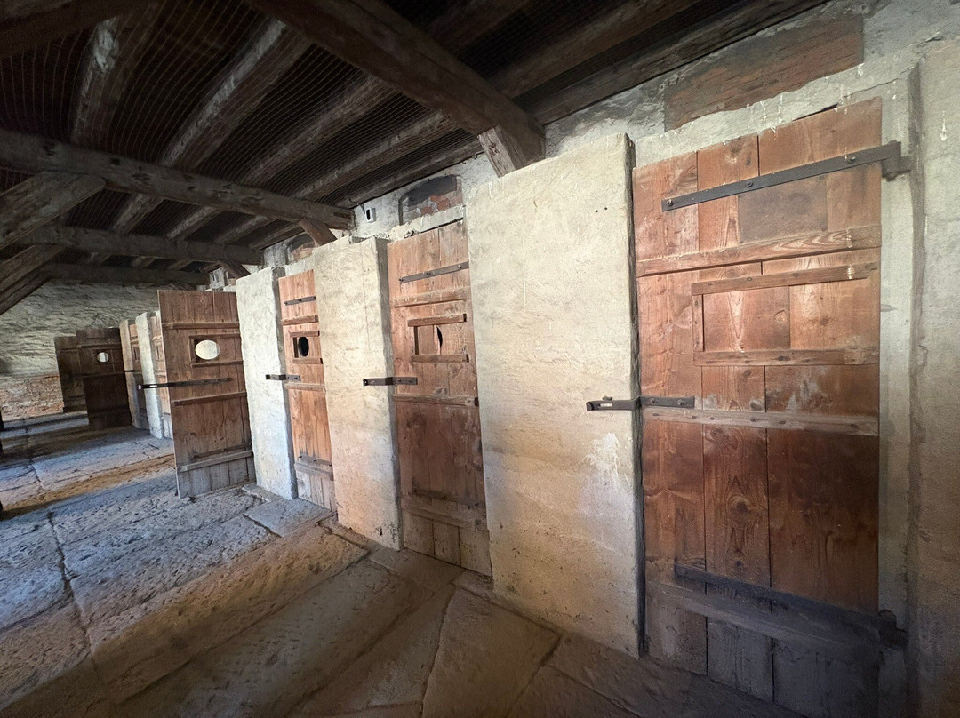 Civico Museo della Risiera di San Sabba-的里雅斯特必去景点