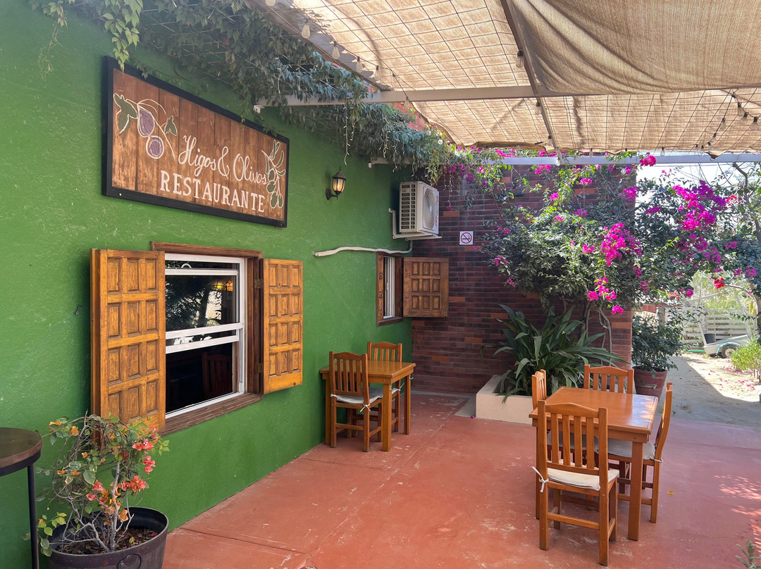 Higos Y Olivos主图