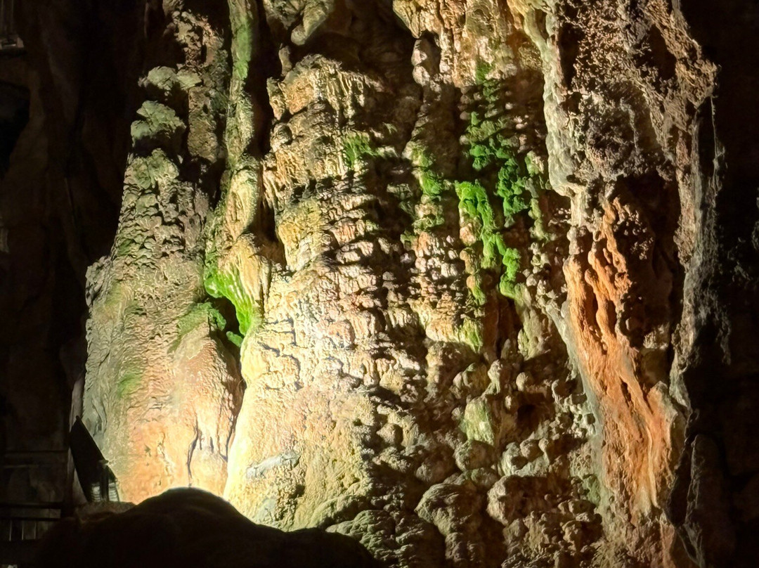 Grotta Gigante-Borgo Grotta Gigante必去景点