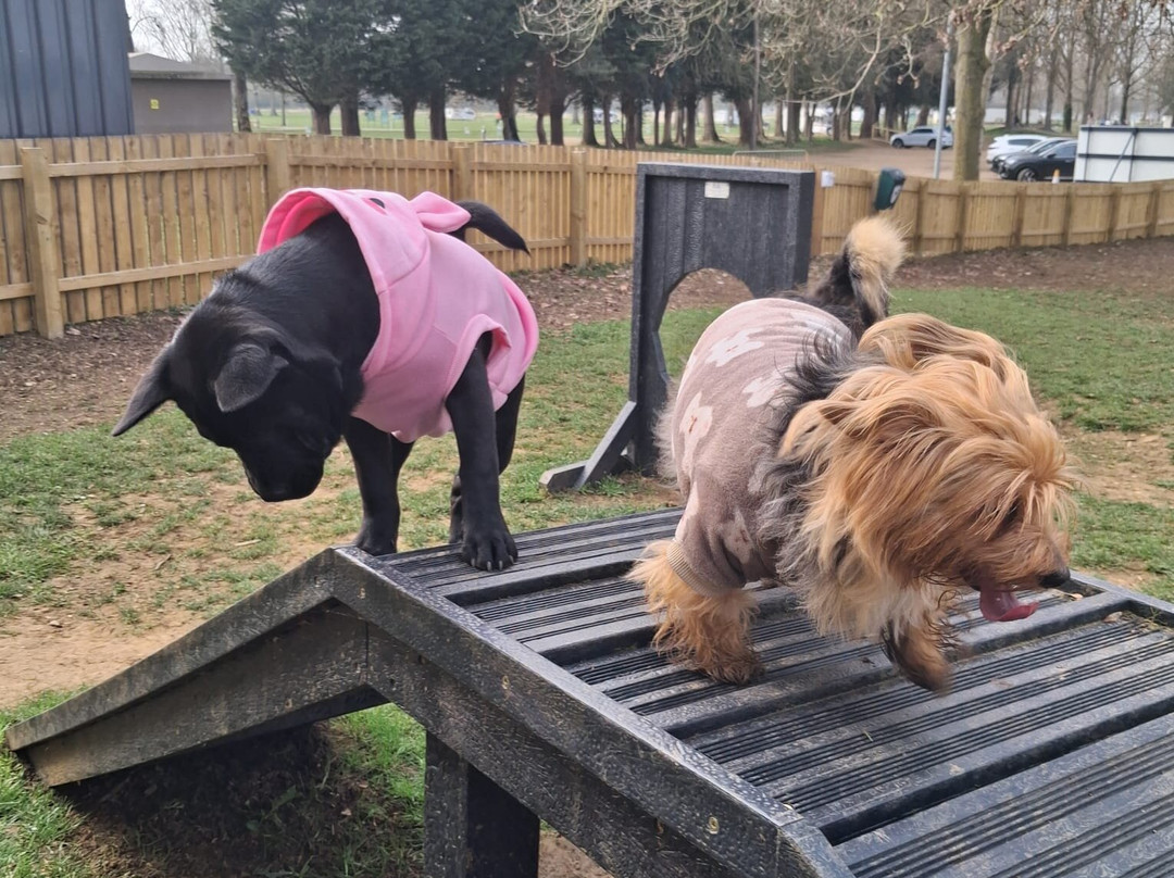 Billing Aquadrome-北安普敦必去景点