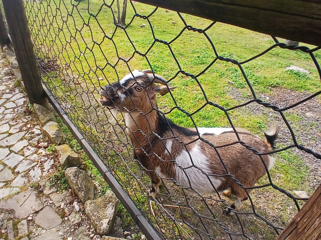 Parco Faunistico Valcorba-Pozzonovo必去景点