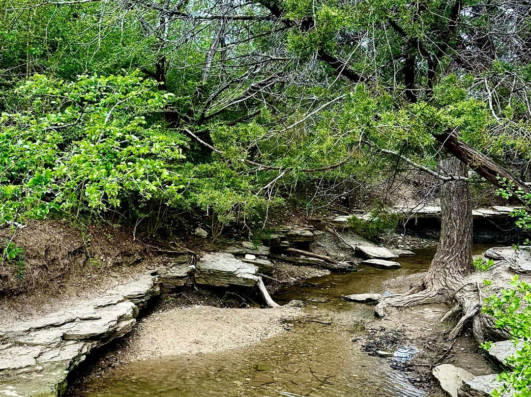 Cedar Ridge Preserve managed by Audubon Dallas.-达拉斯必去景点