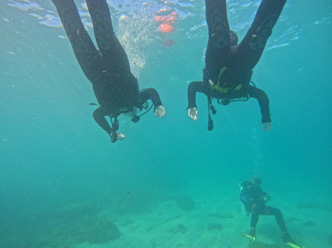 Coral Diving Crete-Anissaras必去景点
