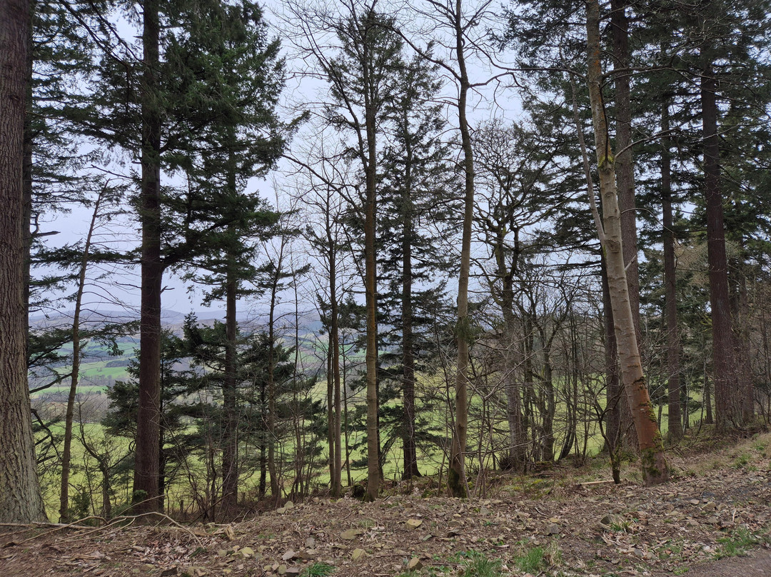 Glentress Forest-皮布尔斯必去景点