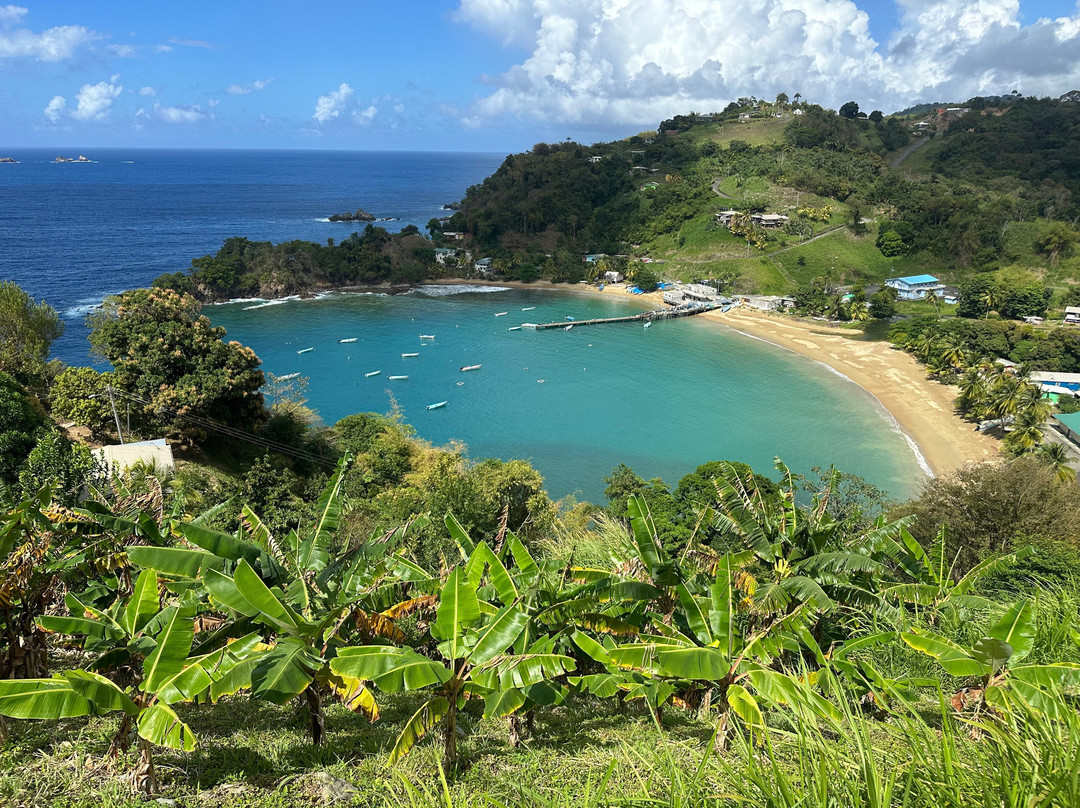 Peter Cox Wildlife Tours-多巴哥必去景点