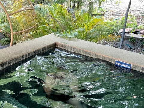 REVOLUTION GYM PHUKET-呈塔累必去景点