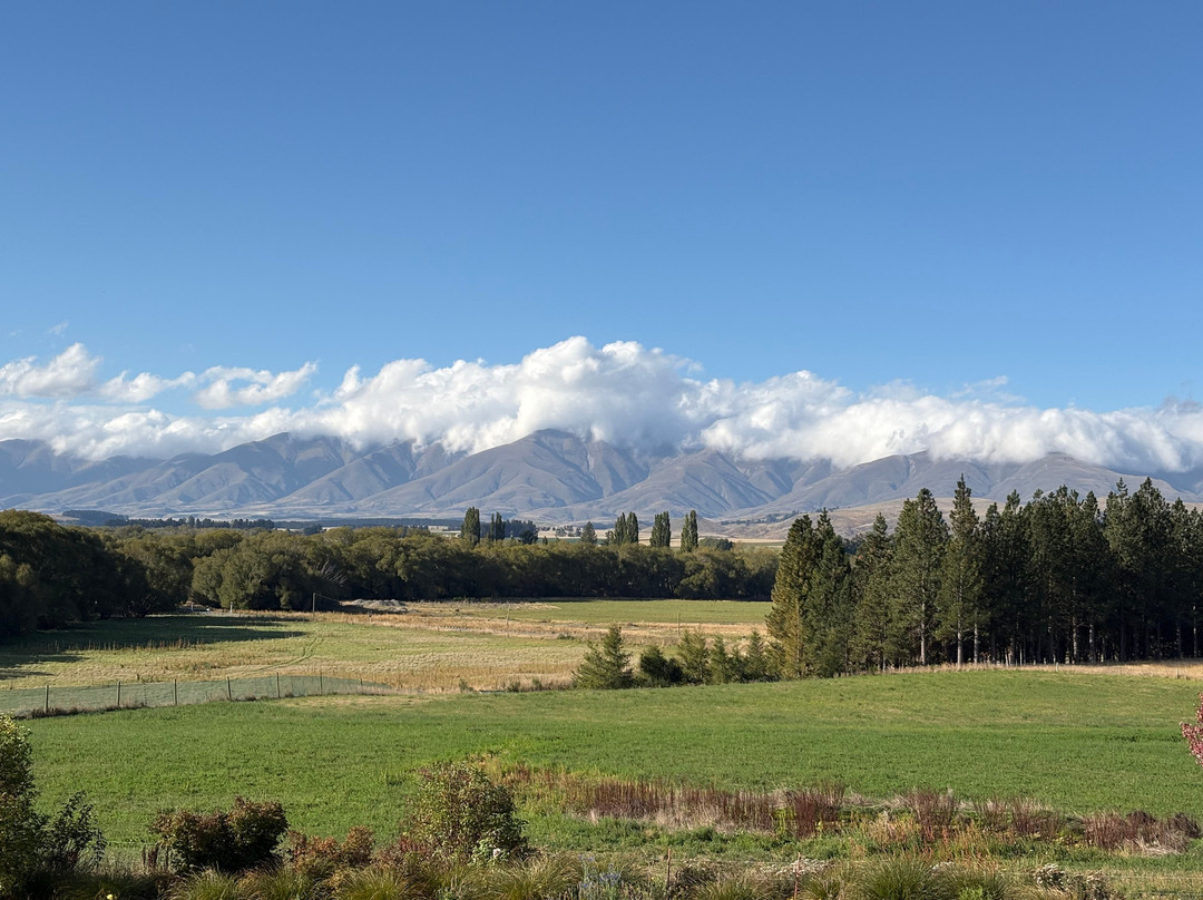 Big Sky Bike Adventures-Naseby必去景点