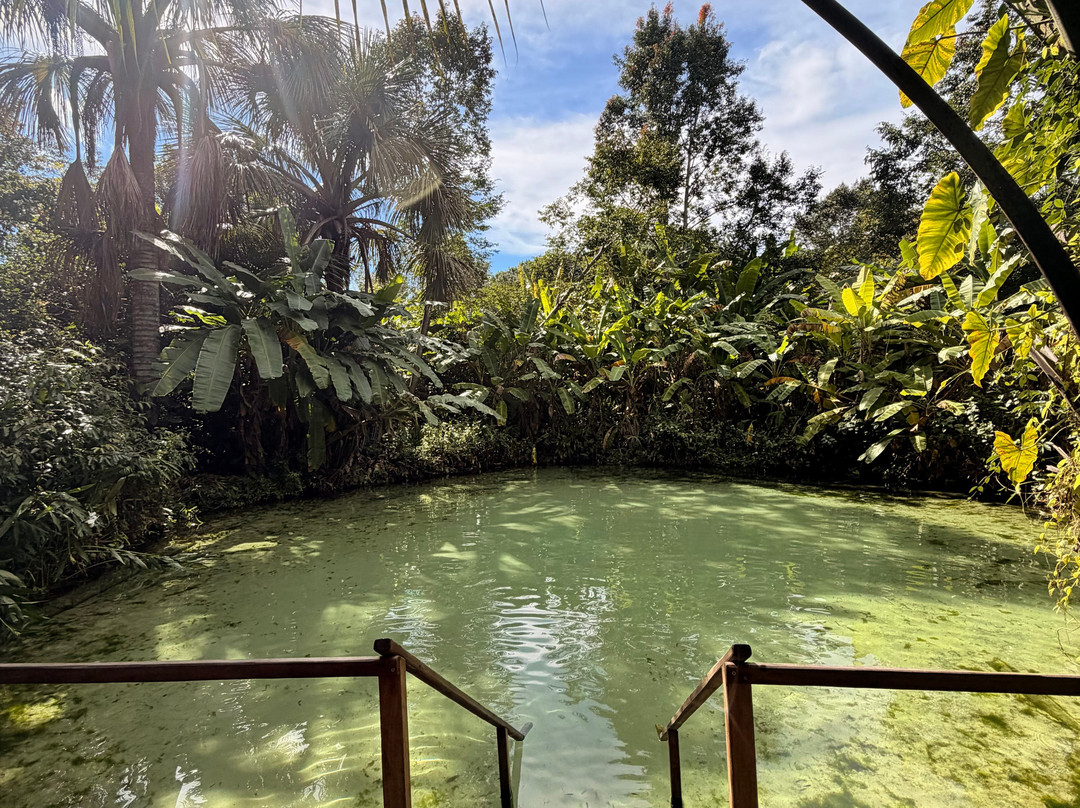 Cenario Nativo Expedicoes-Mateiros必去景点