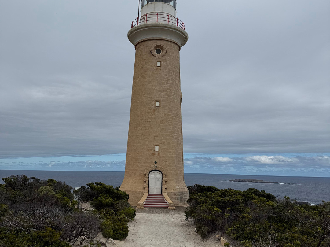 Australian Air Safaris-Moorabbin必去景点