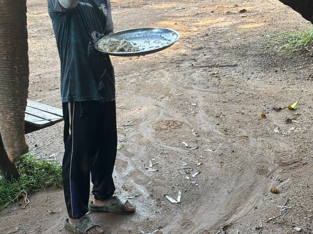 Phuket Elephant Nature Reserve-他朗必去景点