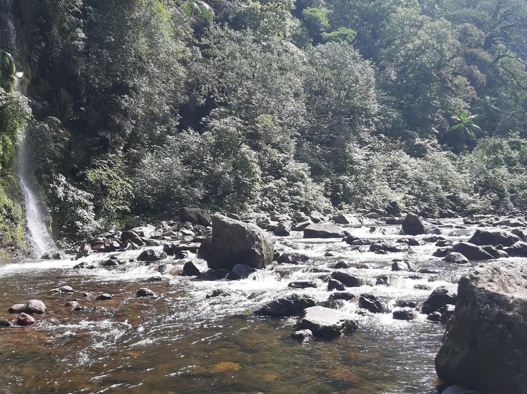 Trilha Do Rio Do Boi-Praia Grande必去景点