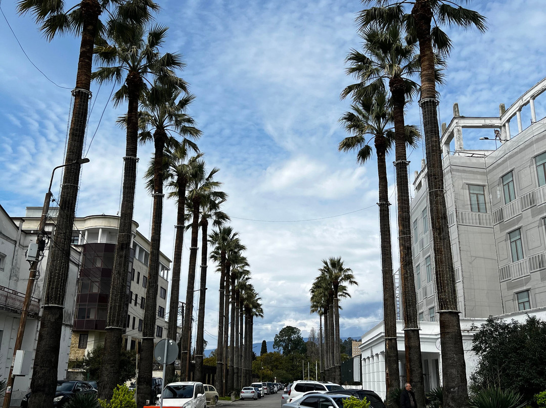 Garuda Boutique Hotel主图