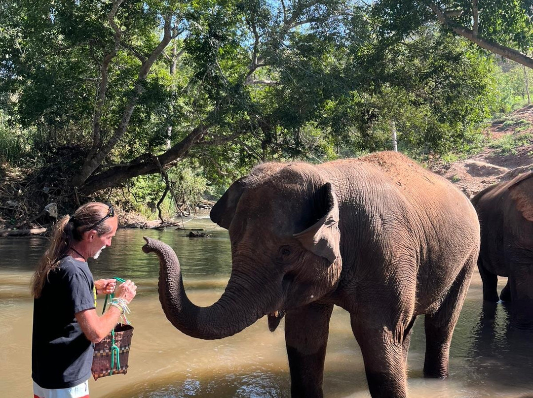 Elephant Sanctuary Care Park-清迈必去景点