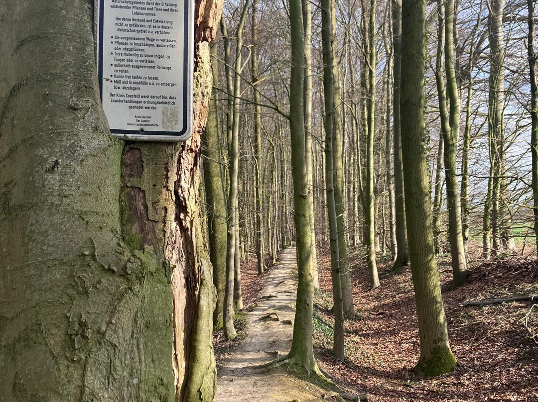 Longinusturm-Nottuln必去景点