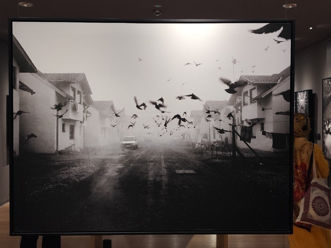 Galerija 11/07/95-萨拉热窝必去景点