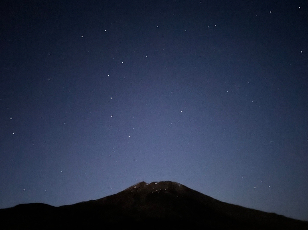 Discover Tenerife VIP Tours-圣克鲁斯-德特内里费必去景点