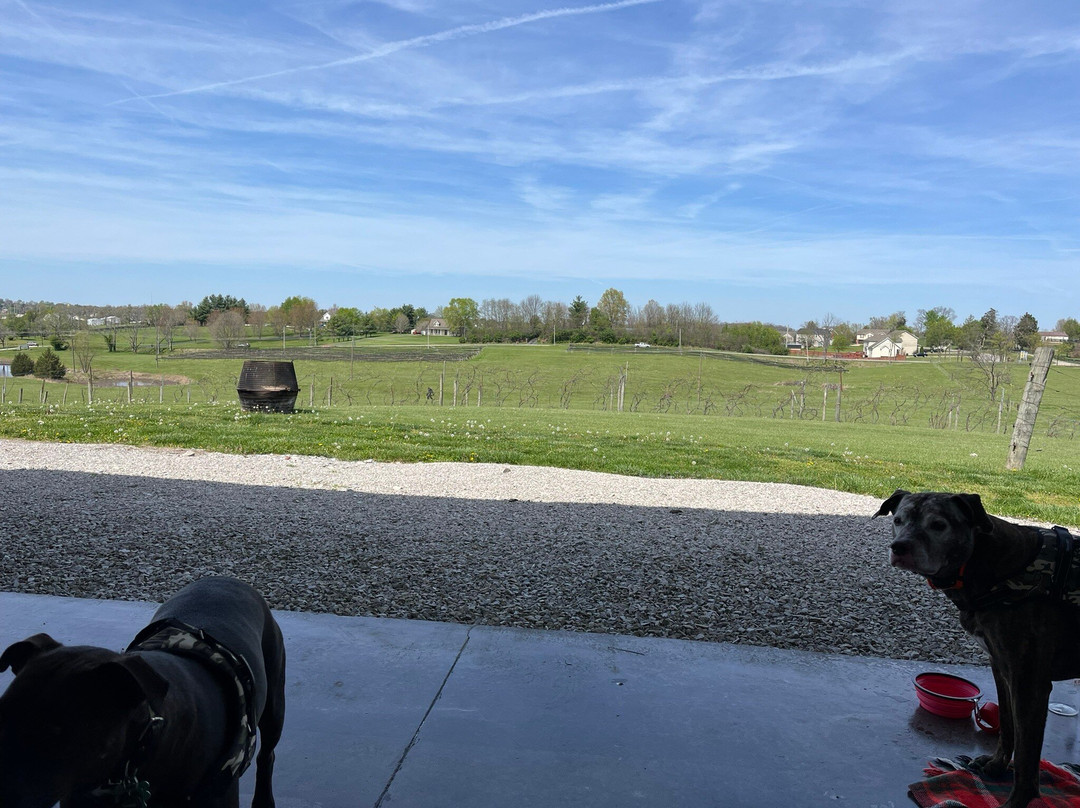 Rising Sons Home Farm Winery-Lawrenceburg必去景点