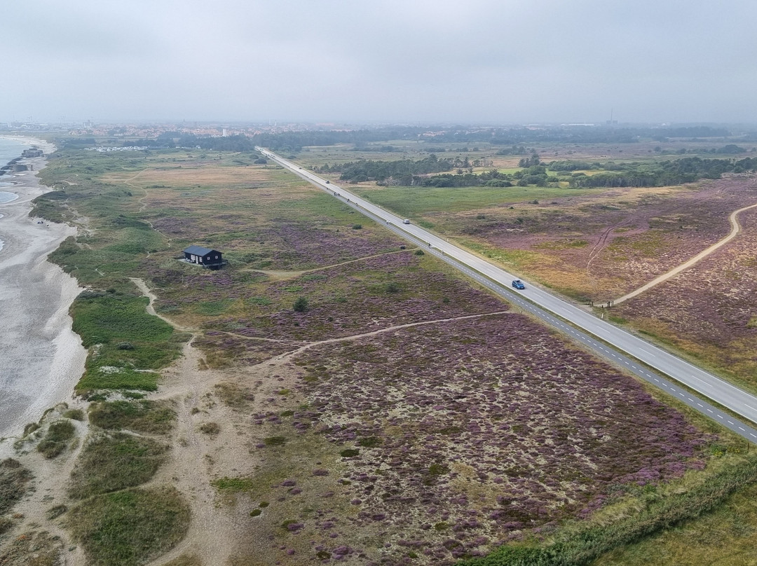 Skagen Graa Fyr-斯卡恩必去景点