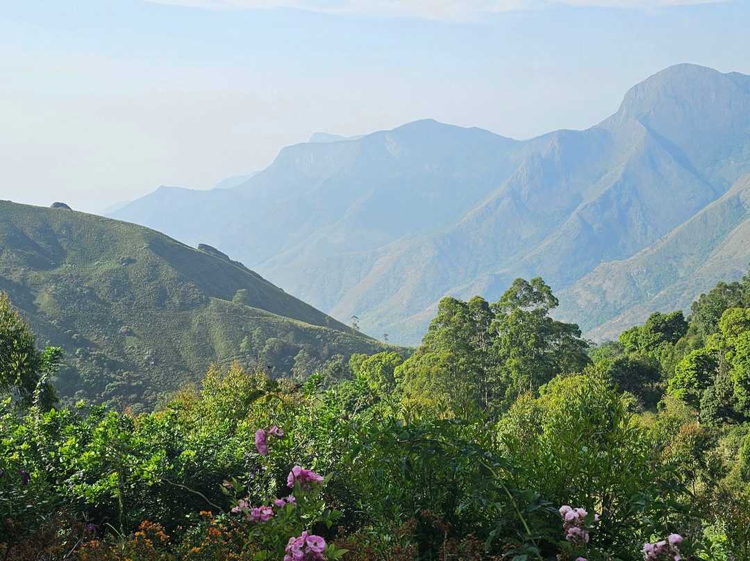 钱迪斯小雨滴酒店主图