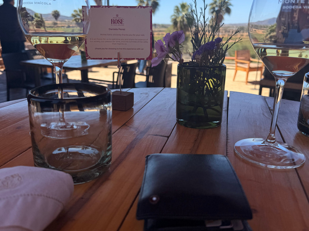Monte Xanic Bodega Vinícola-Valle de Guadalupe必去景点