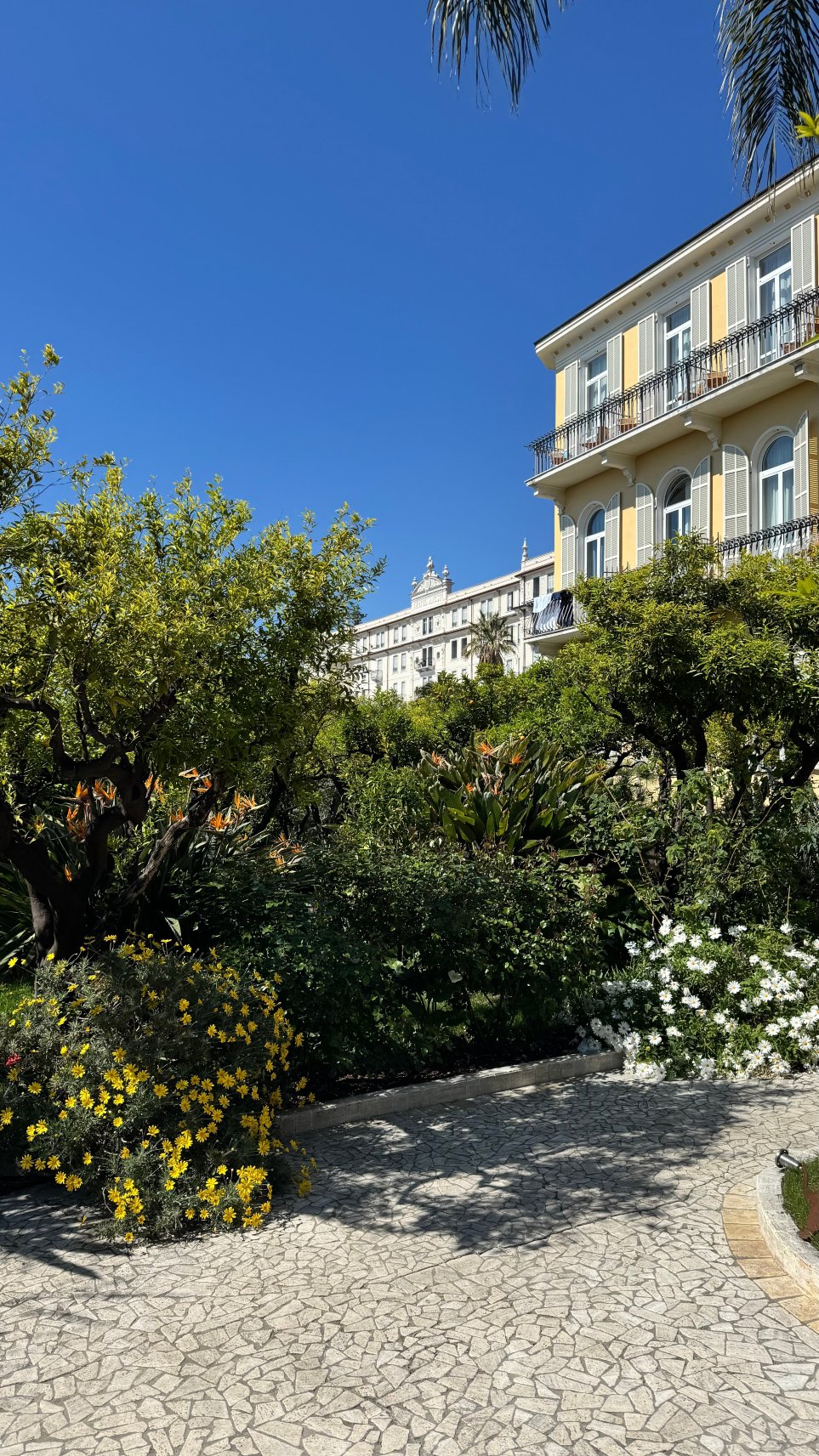 伊莉莎Spa别墅酒店-度假村/酒店