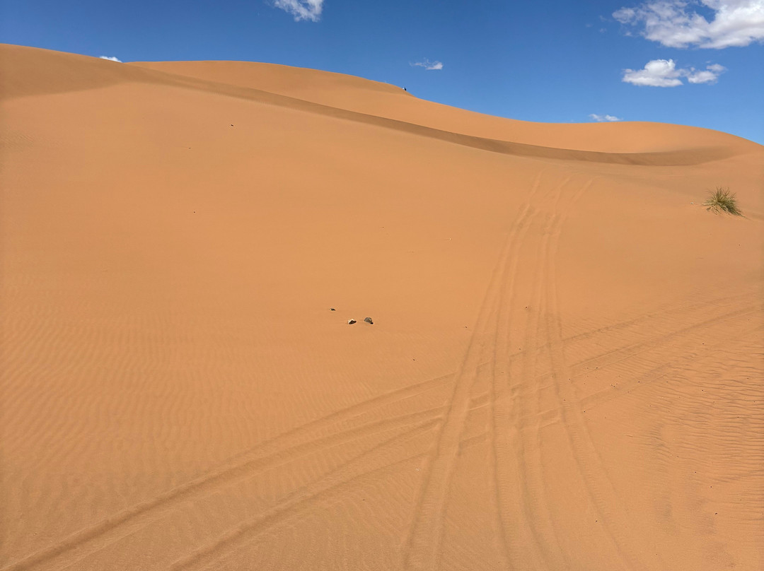 Sahara With Locals-马拉喀什必去景点